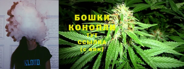 гидропоника Алзамай