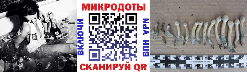 МЕГА онион  купить наркоту  Разумное  Псилоцибиновые грибы Psilocybe 